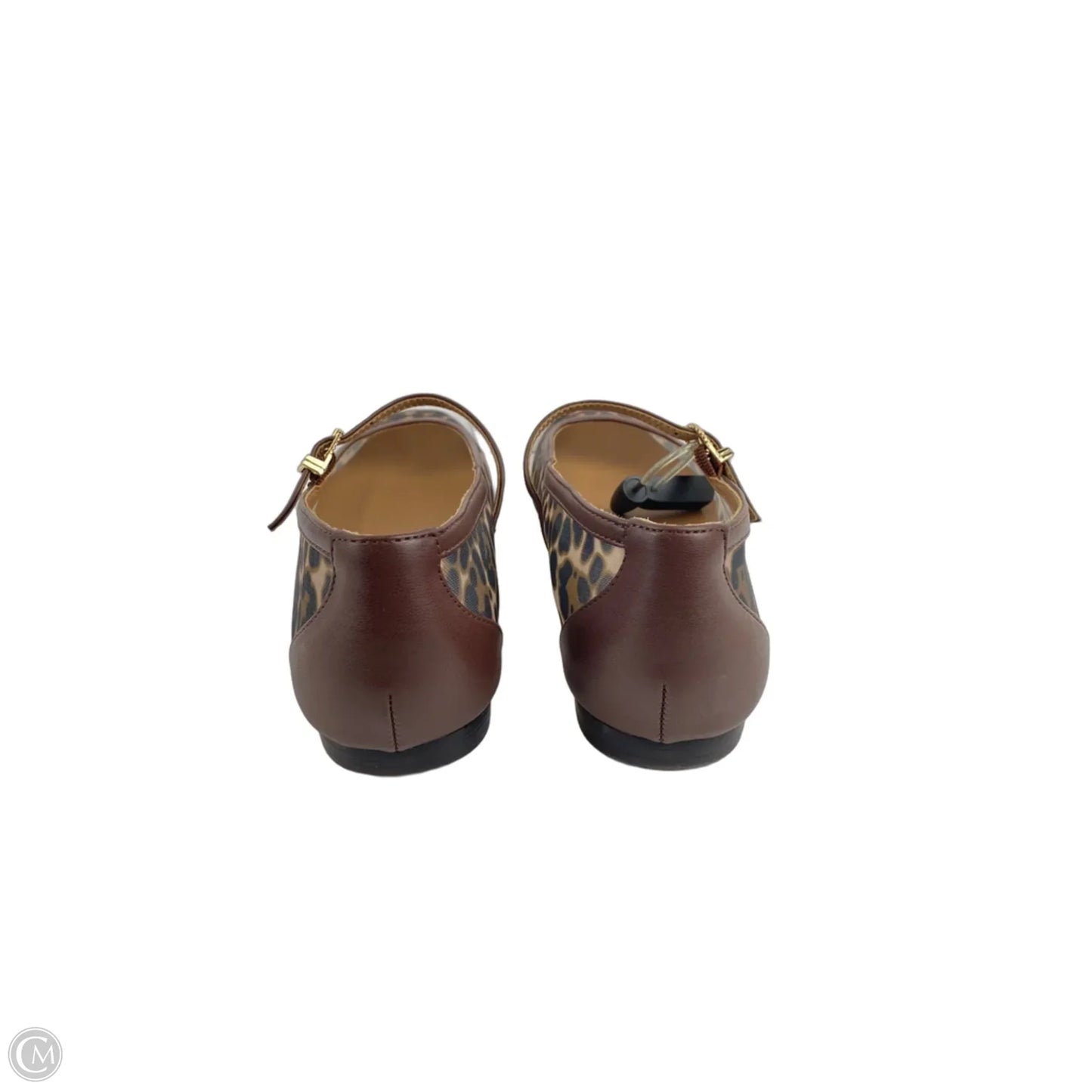 Shoes Flats By Dolce Vita In Animal Print, Size: 8