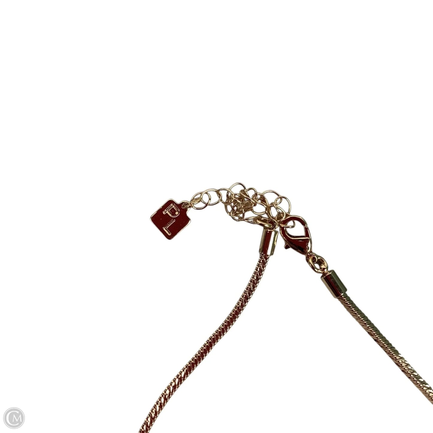 Necklace Chain By Park Lane