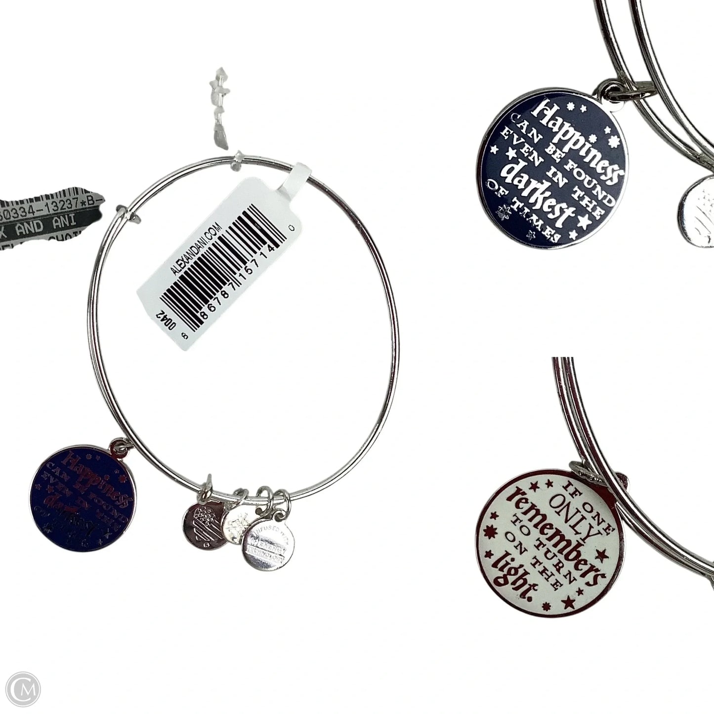 Bracelet Chain By Alex And Ani