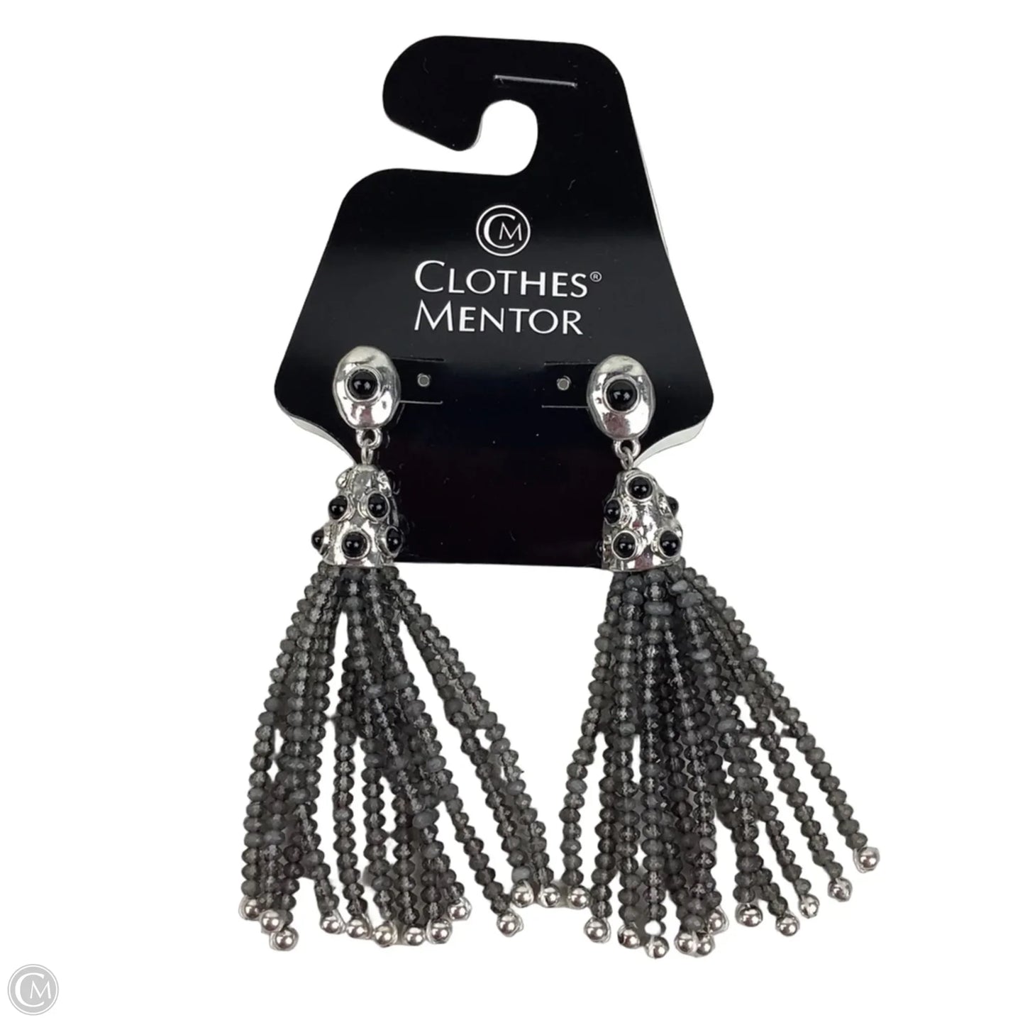 Earrings Dangle/drop By Chicos