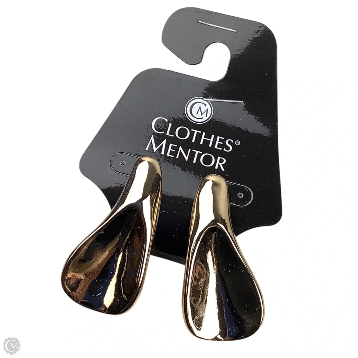 Earrings Dangle/drop By Clothes Mentor