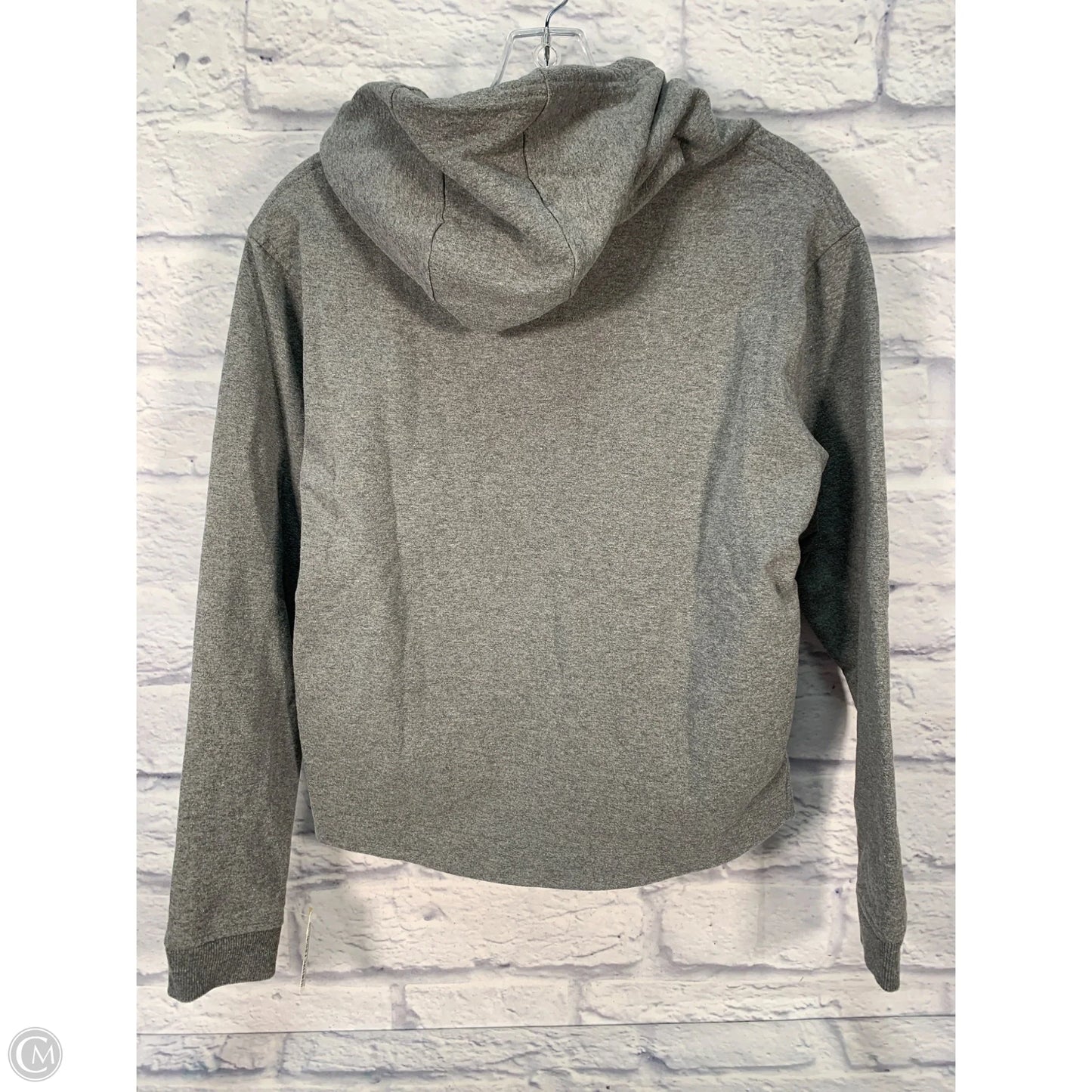 Sweatshirt Hoodie By Patagonia In Grey, Size: Xs