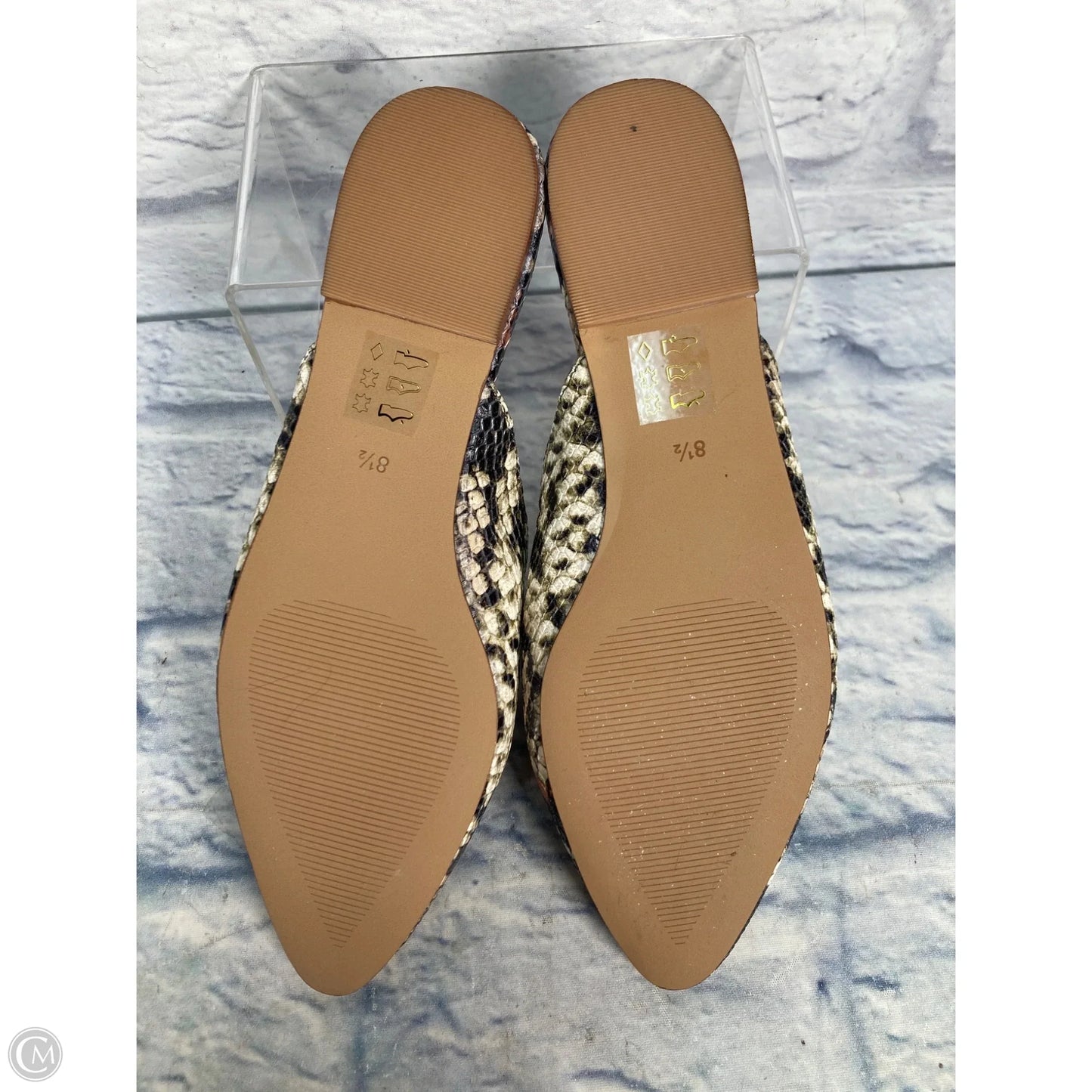 Shoes Flats By Madewell In Snakeskin Print, Size: 8.5