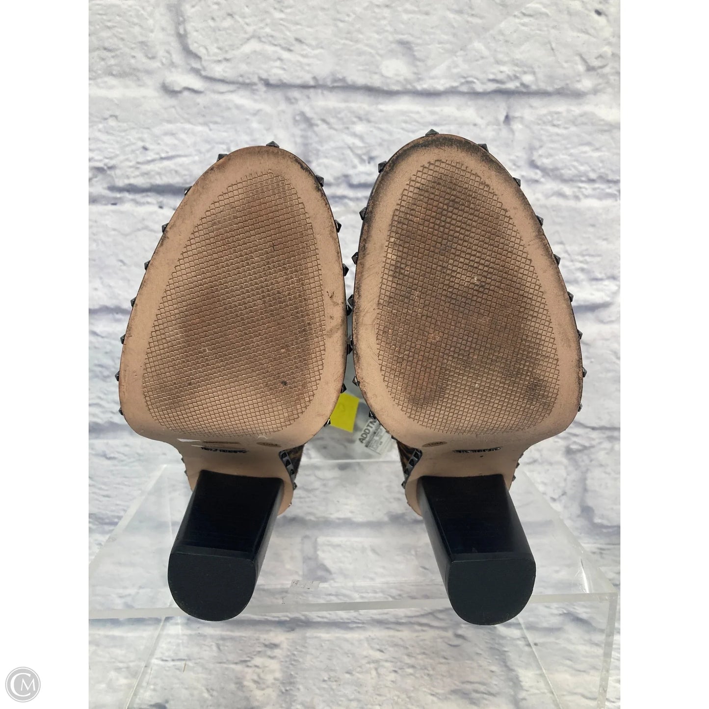 Boots Ankle Heels By Gianni Bini In Animal Print, Size: 10