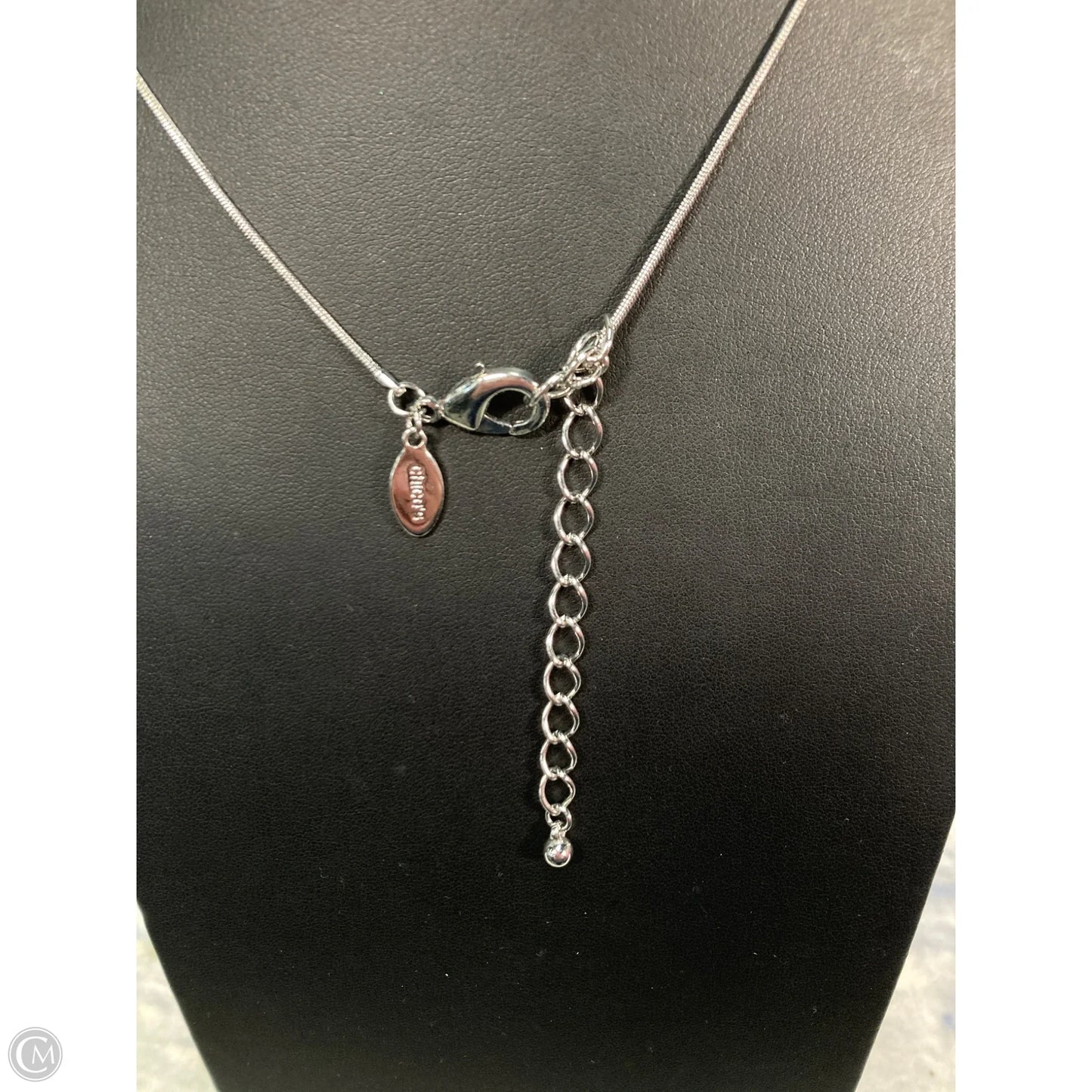 Necklace Lariat & Y-drop By Chicos