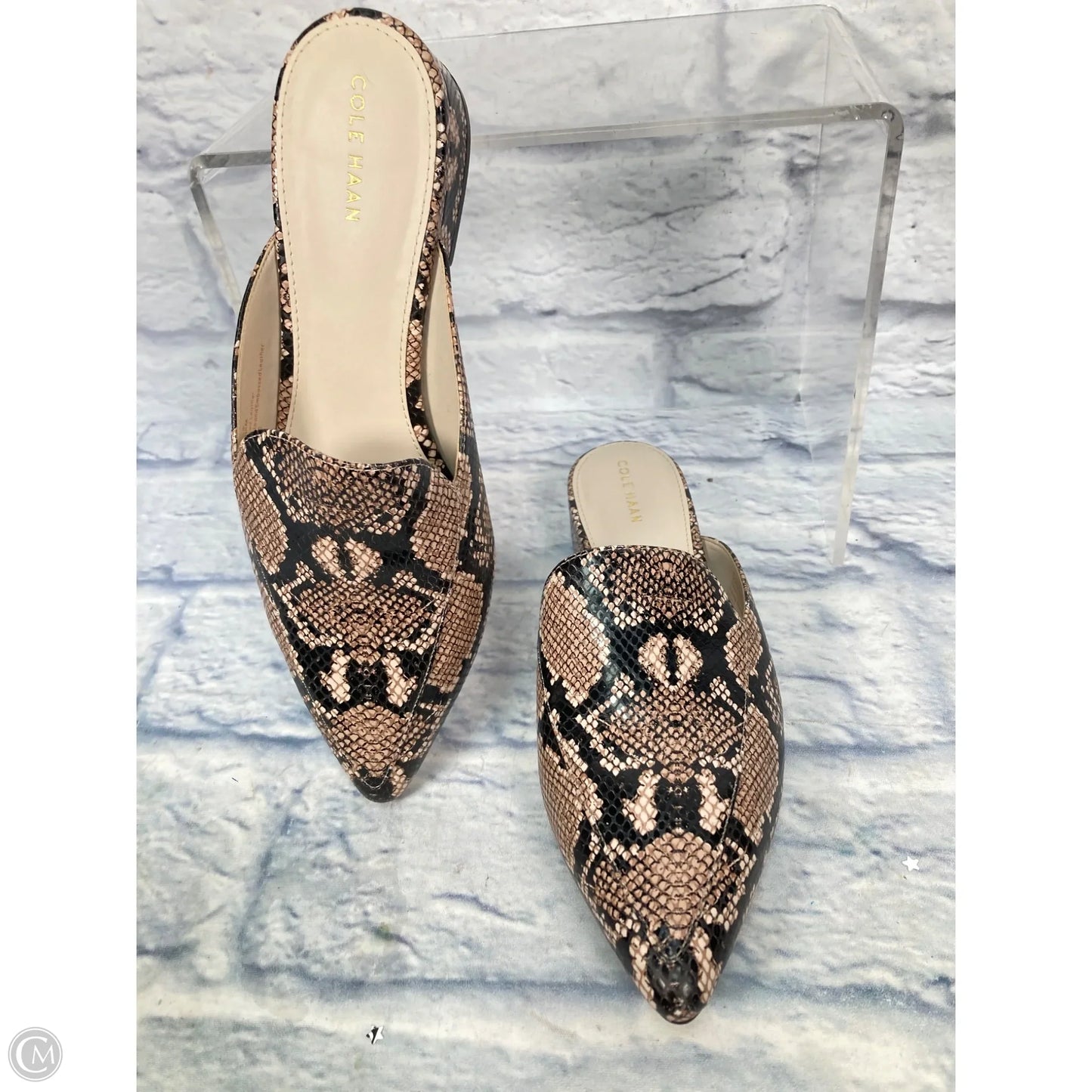 Shoes Flats By Cole-haan In Animal Print, Size: 8.5