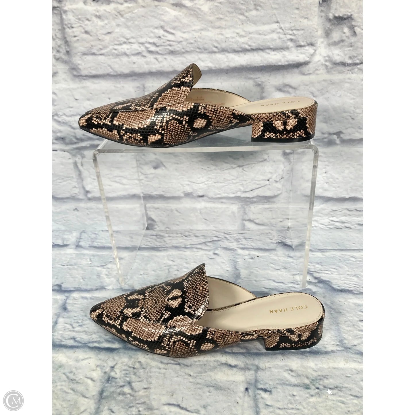 Shoes Flats By Cole-haan In Animal Print, Size: 8.5