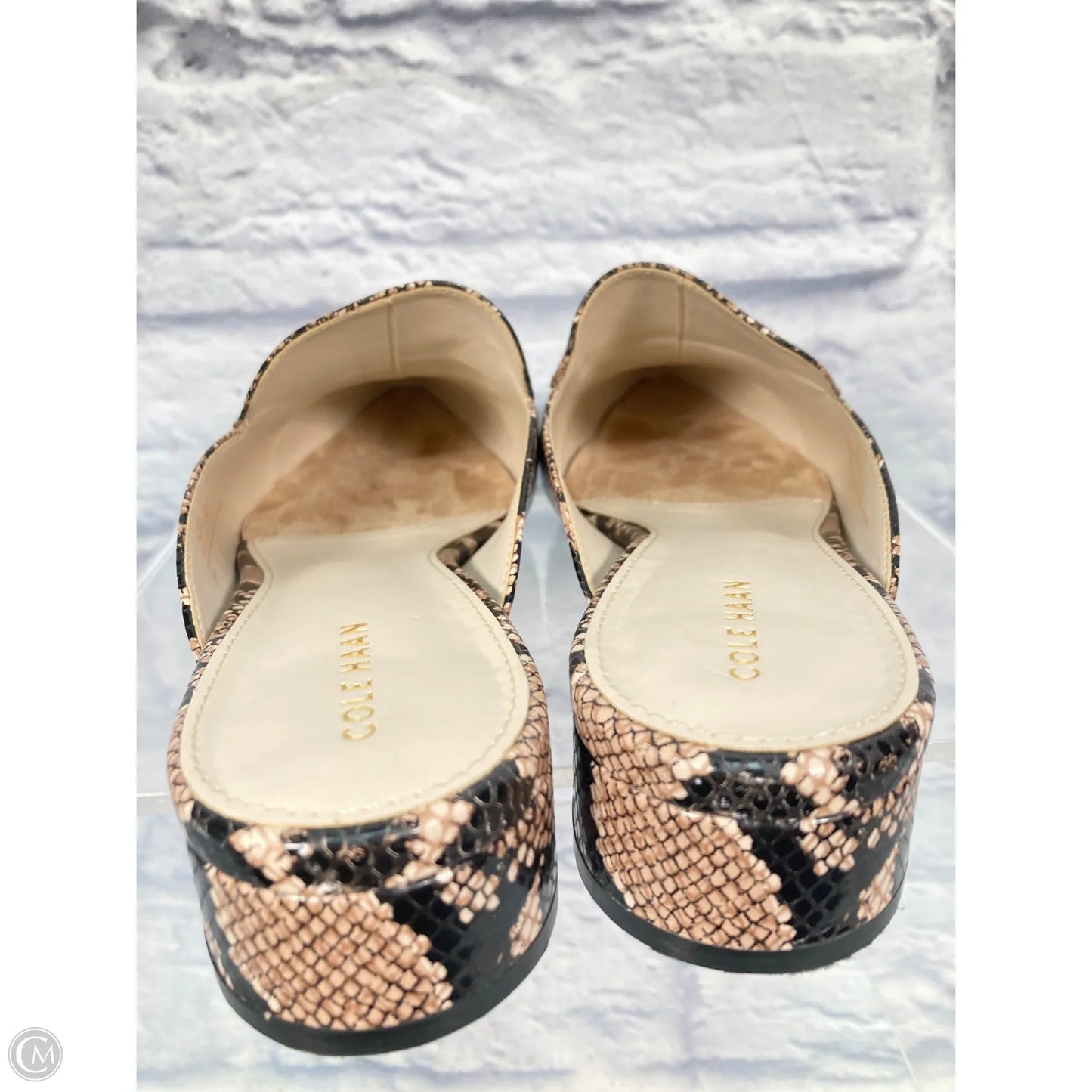 Shoes Flats By Cole-haan In Animal Print, Size: 8.5