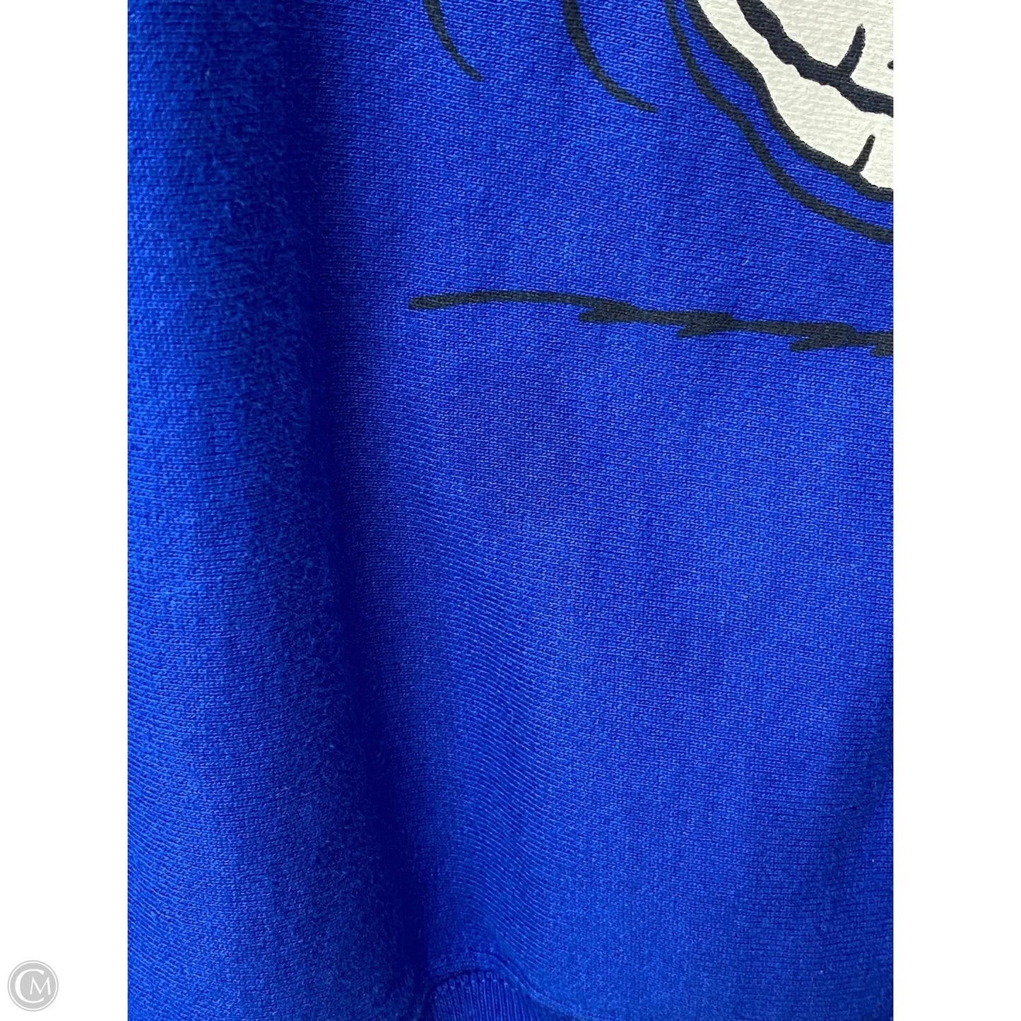 Sweatshirt Crewneck By Champion In Blue, Size: S