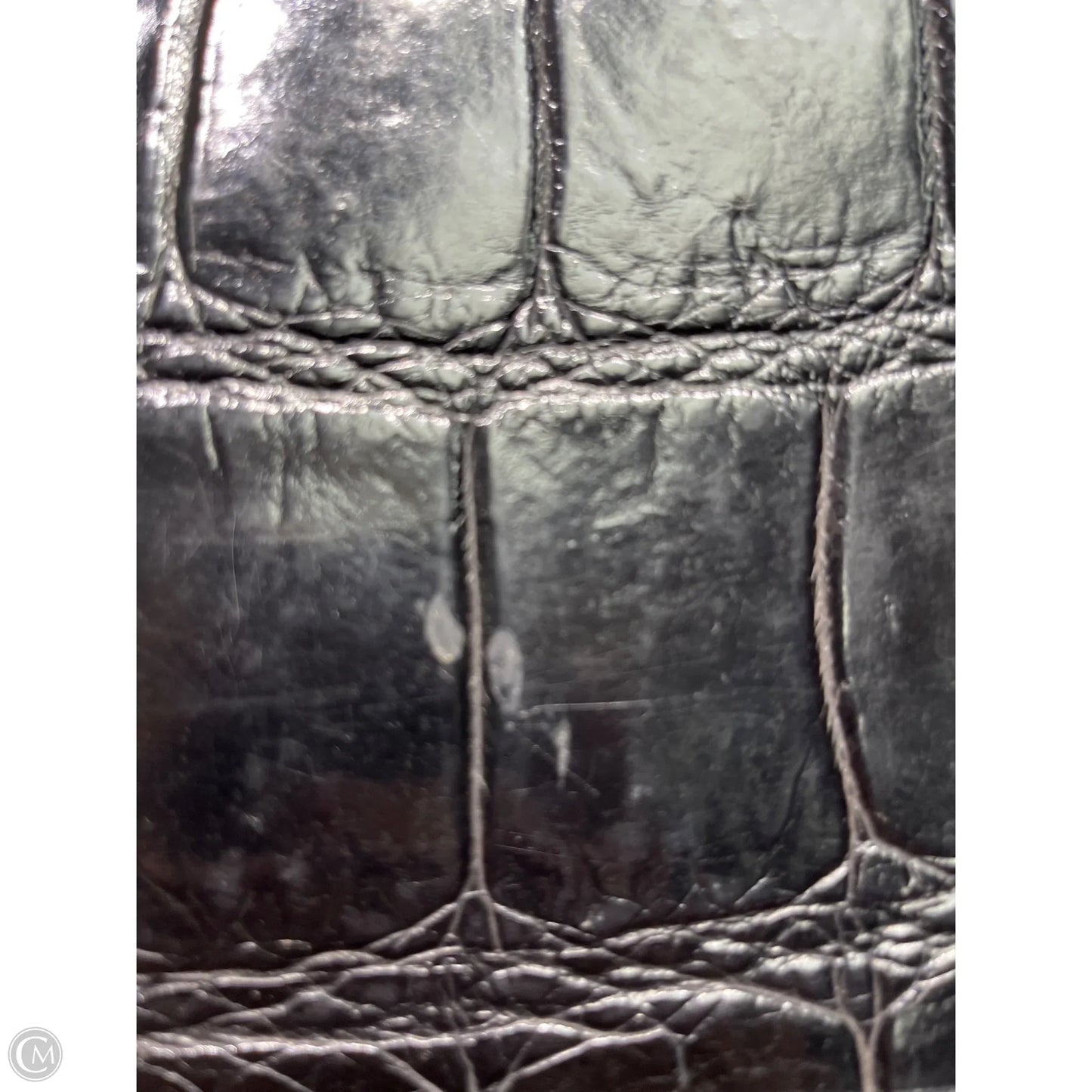 Handbag Designer By Dooney And Bourke, Size: Large