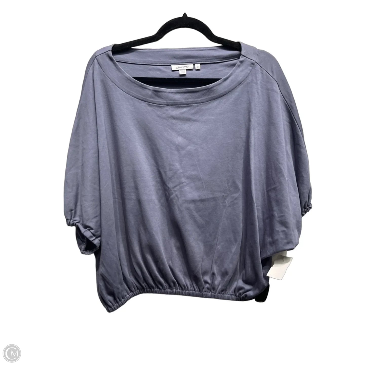 Top Short Sleeve By Chicos In Grey, Size: M