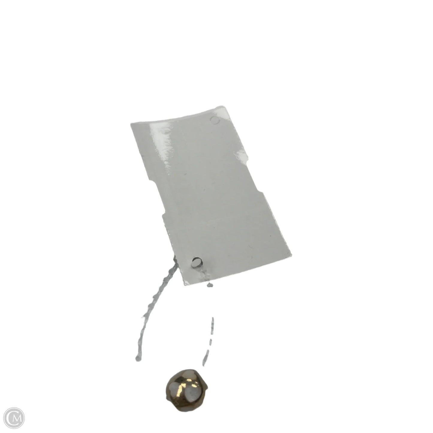 Accessory Tag By Pandora