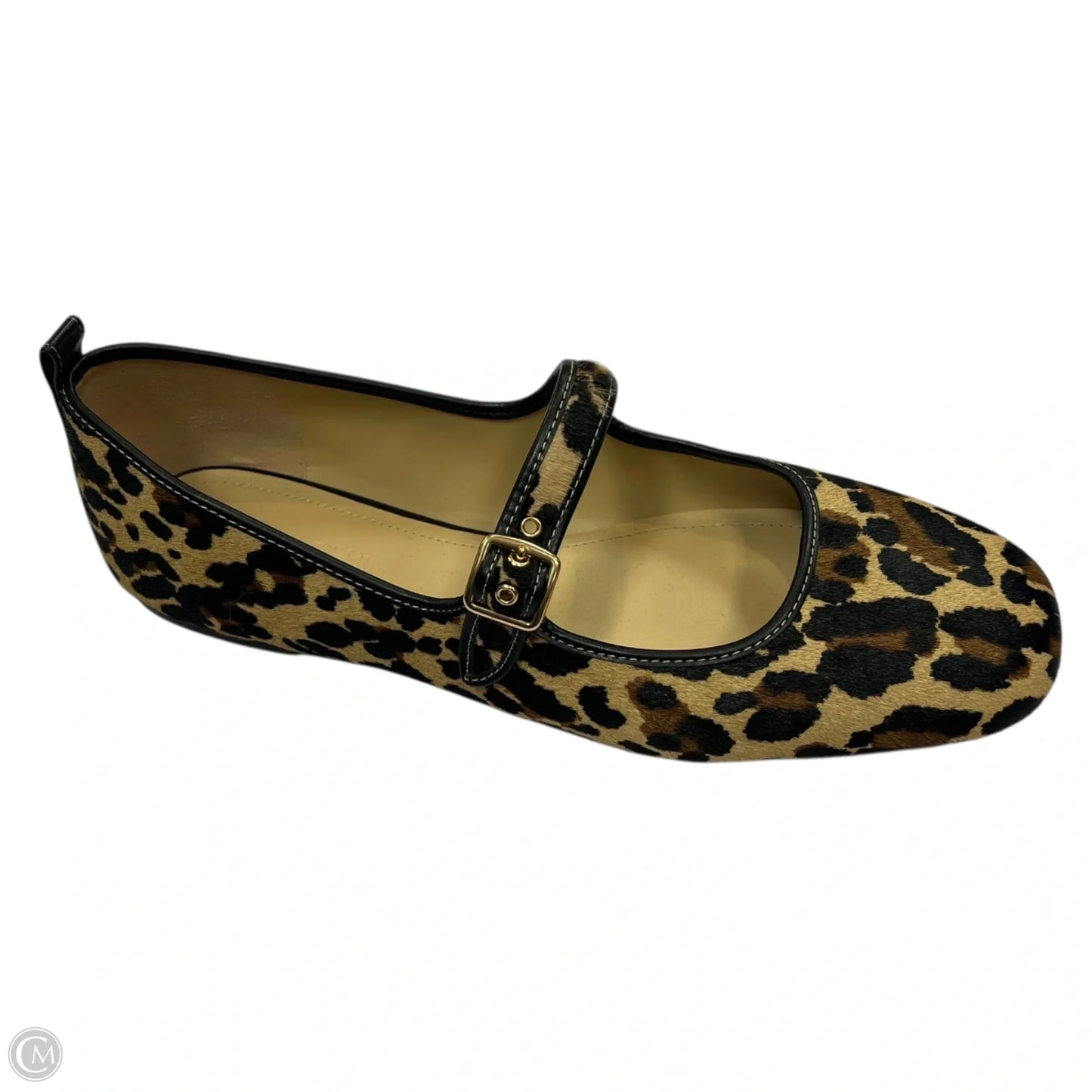Shoes Designer By Coach In Animal Print, Size: 10