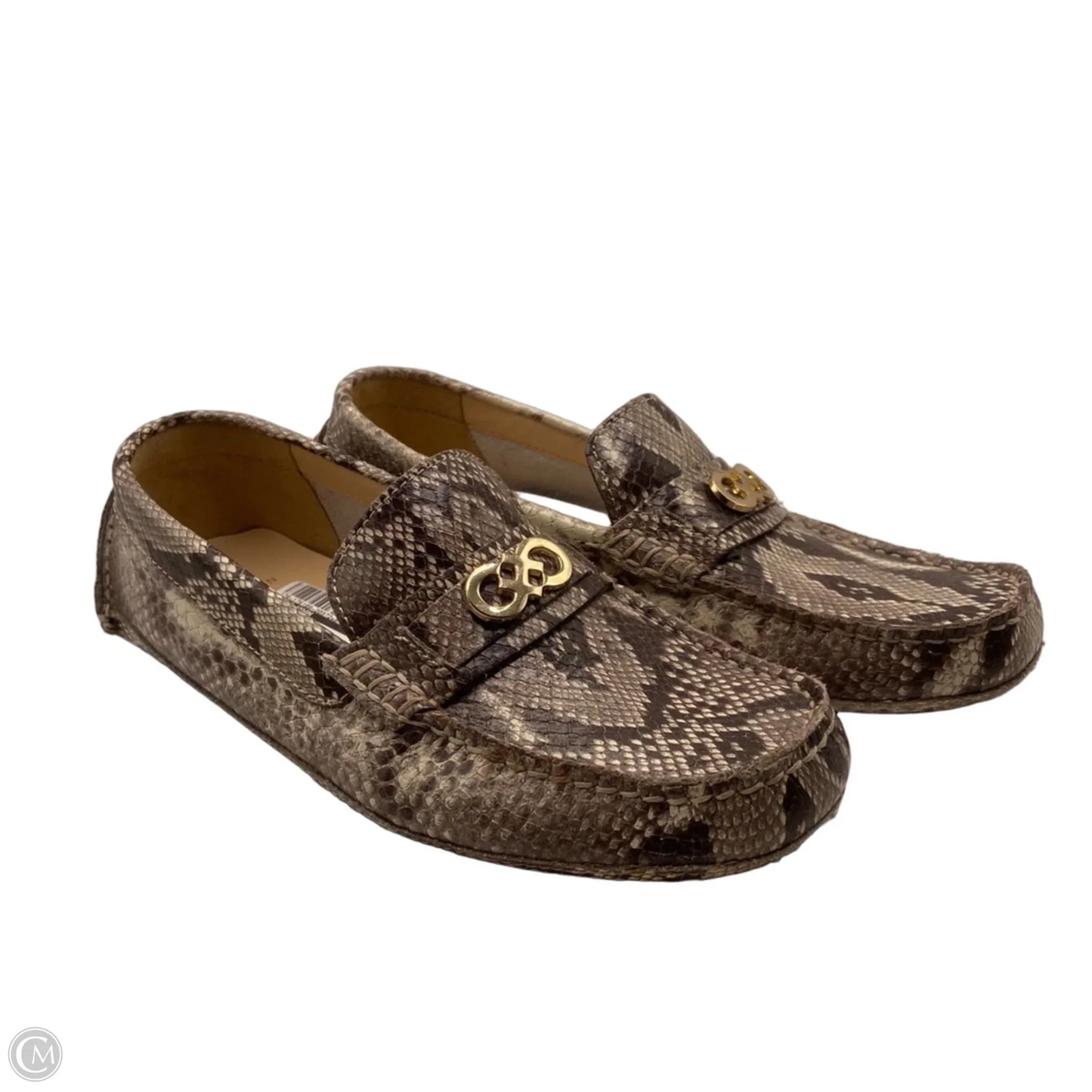 Shoes Flats By Cole-haan In Snakeskin Print, Size: 6