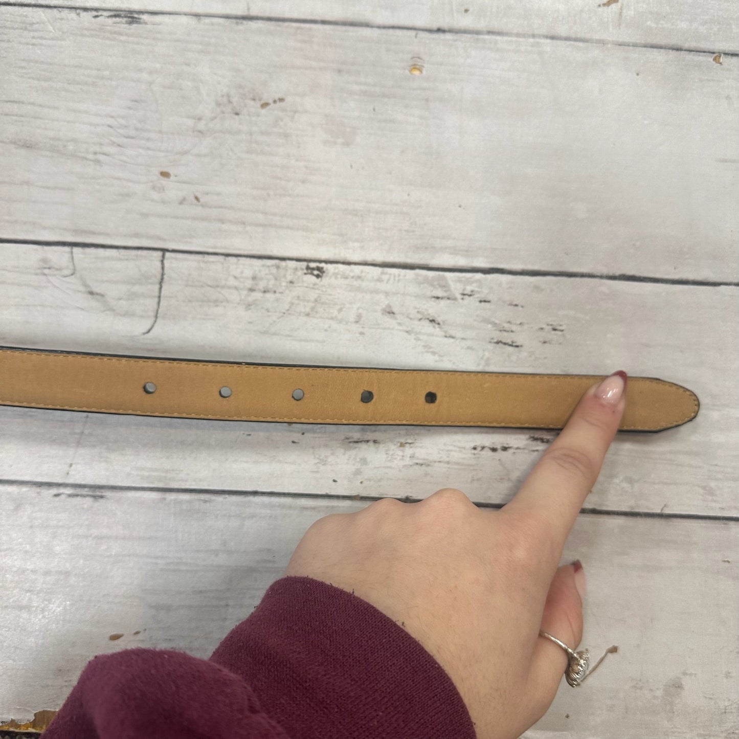 Belt Designer By Brighton, Size: Small