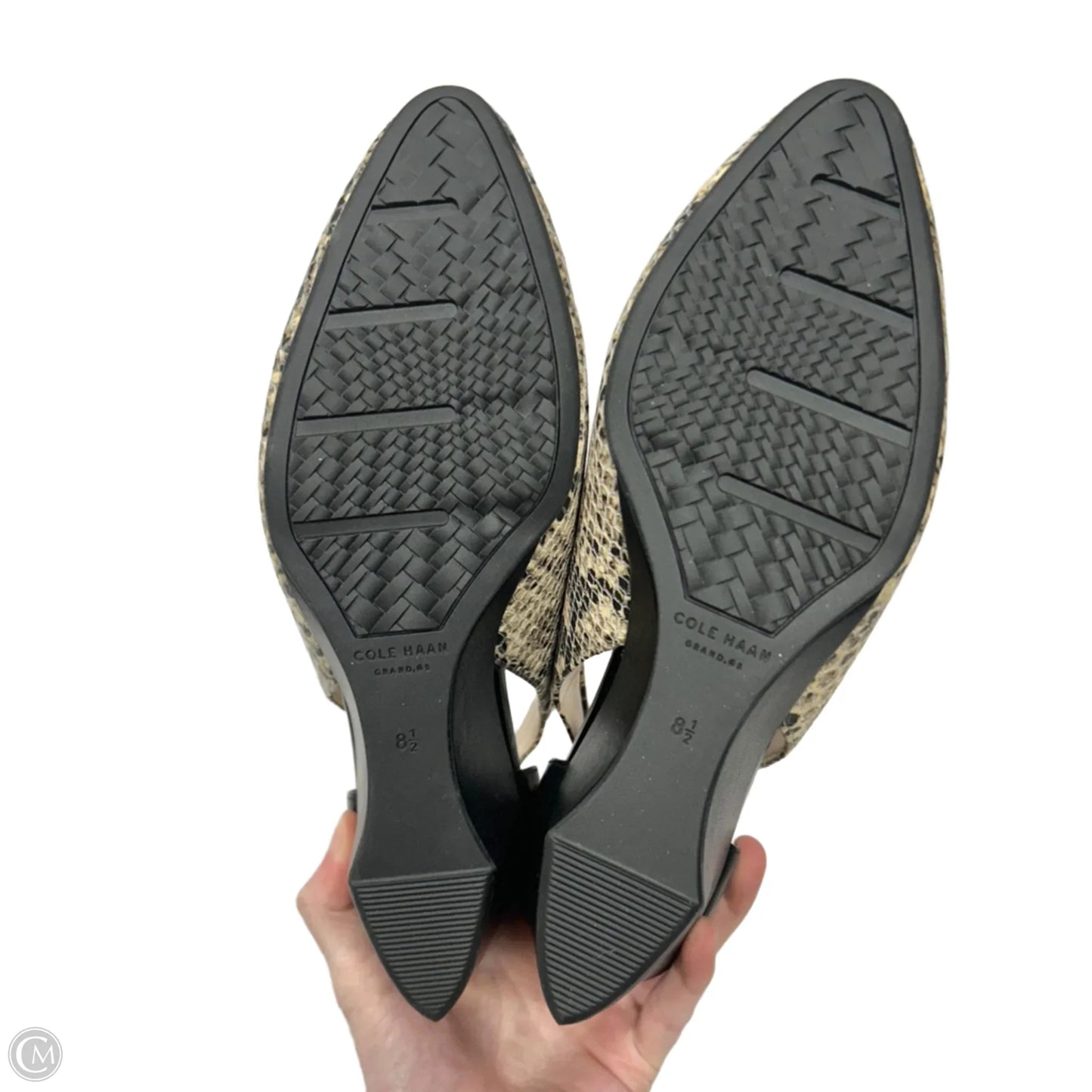 Shoes Heels Wedge By Cole-haan In Snakeskin Print, Size: 8.5