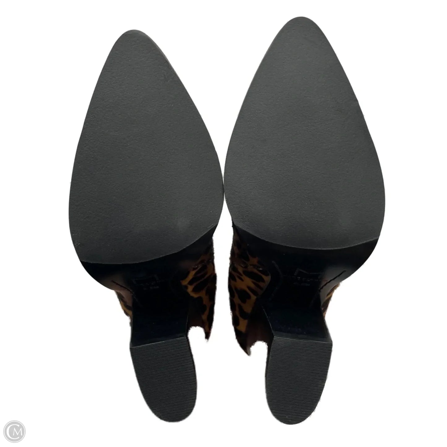 Boots Ankle Heels By Marc Fisher In Leopard Print, Size: 5.5