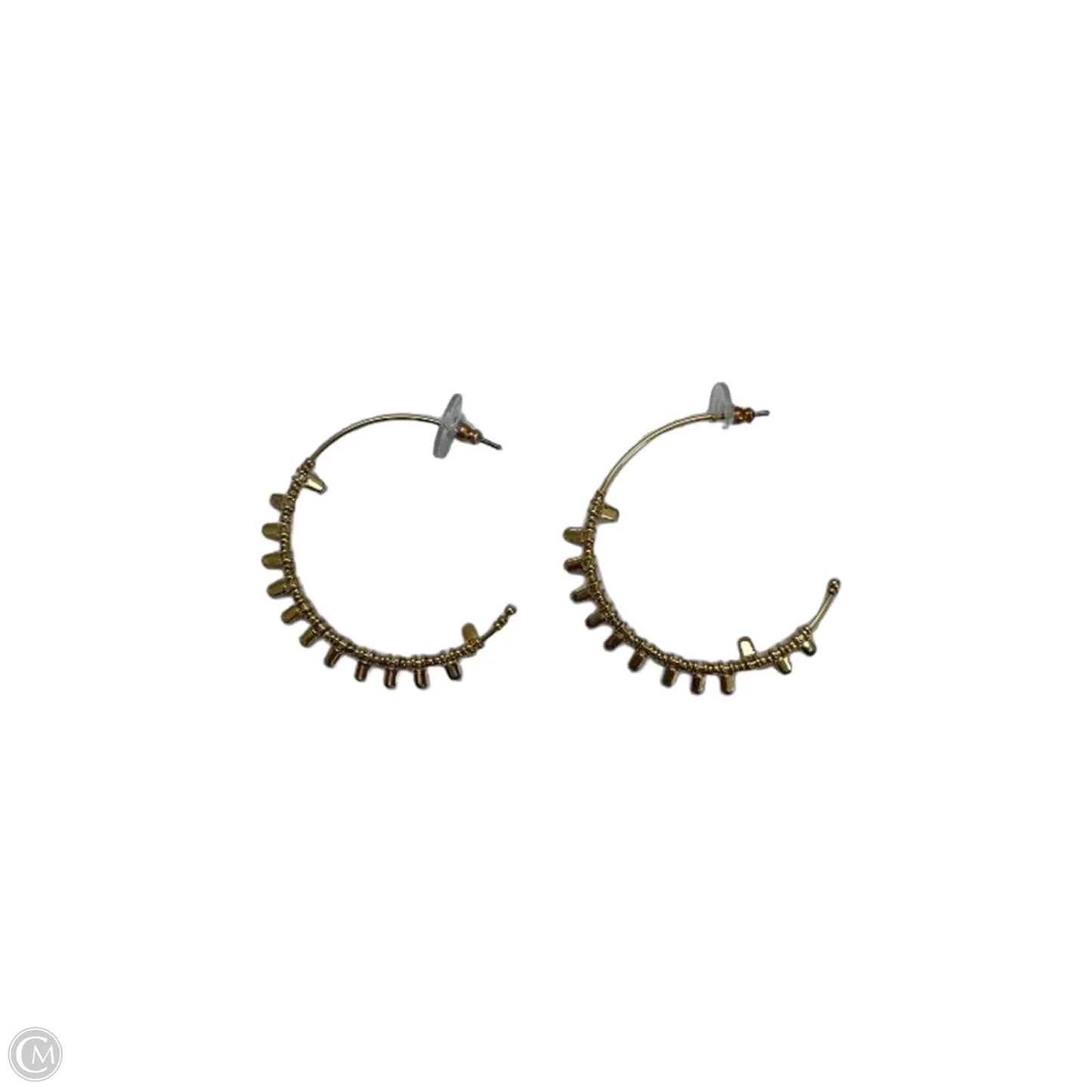 Earrings Hoop By Stella And Dot