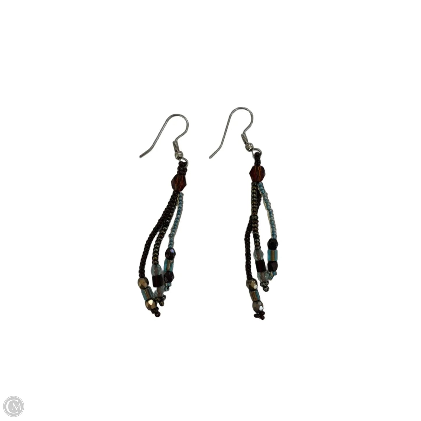 Earrings Dangle/drop By Chicos