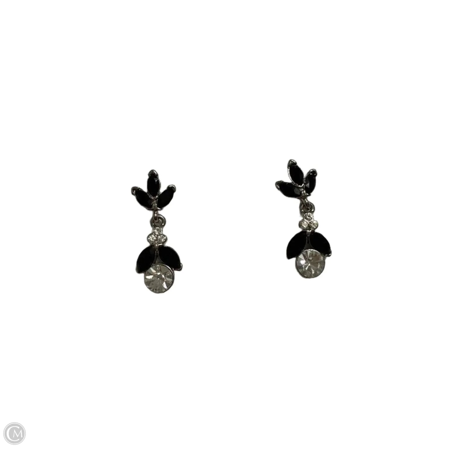 Earrings Dangle/drop By Clothes Mentor