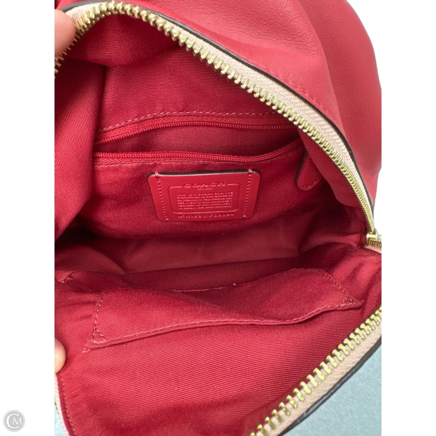 Backpack Designer By Coach, Size: Small