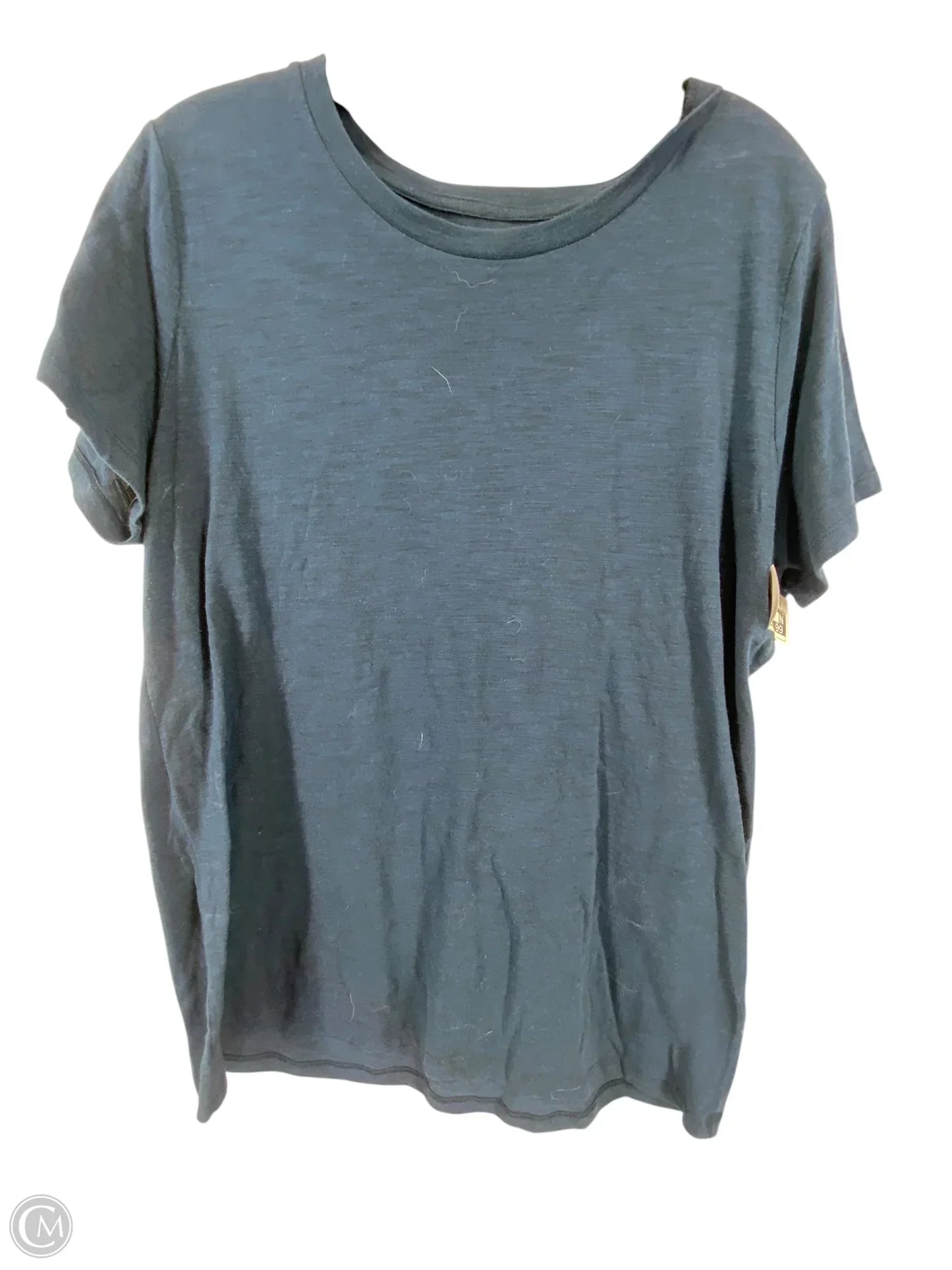 Top Short Sleeve Basic By Mossimo In Blue, Size: 2x