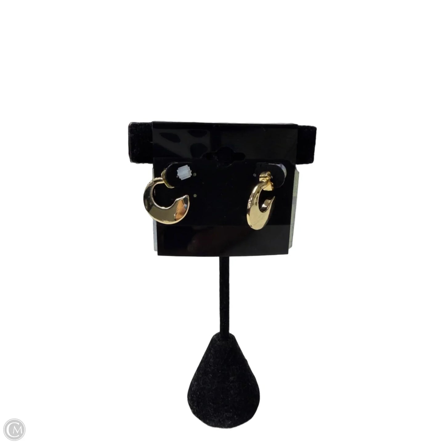 Earrings Hoop
