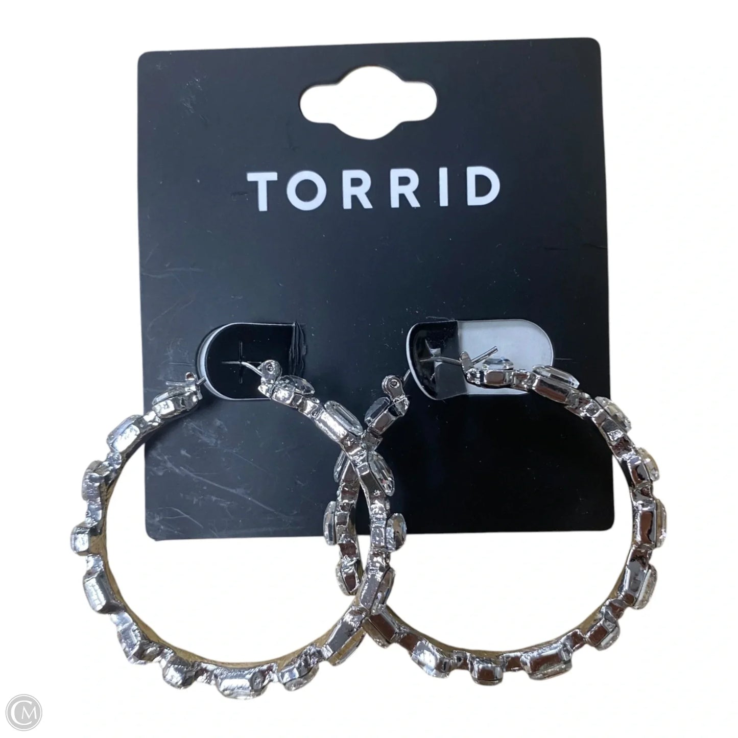 Earrings Hoop By Torrid