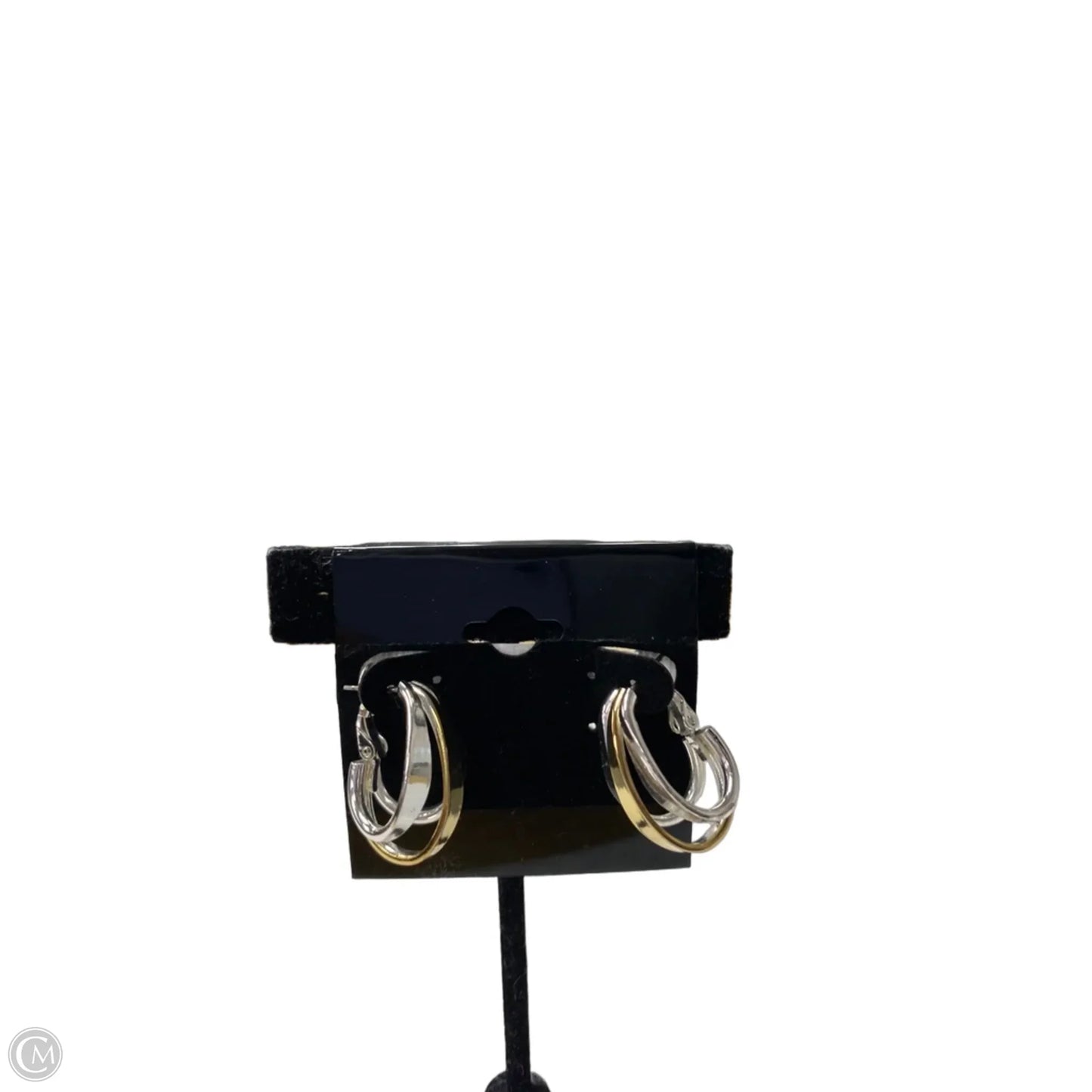 Earrings Hoop