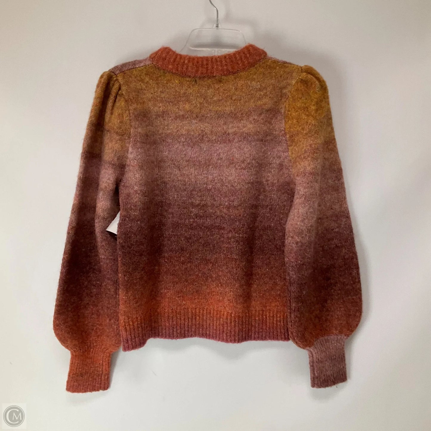 Sweater By Allison Joy In Multi-colored, Size: Xs