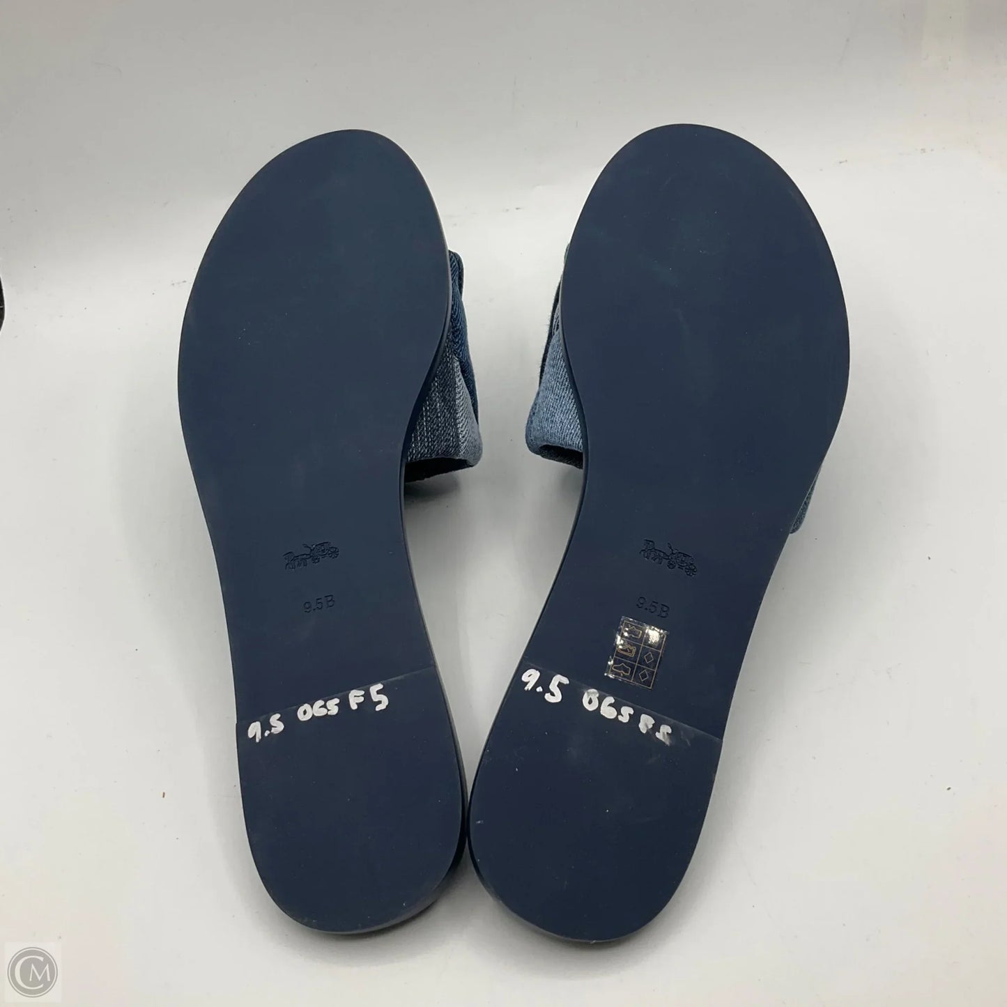 Sandals Designer By Coach In Blue, Size: 9.5