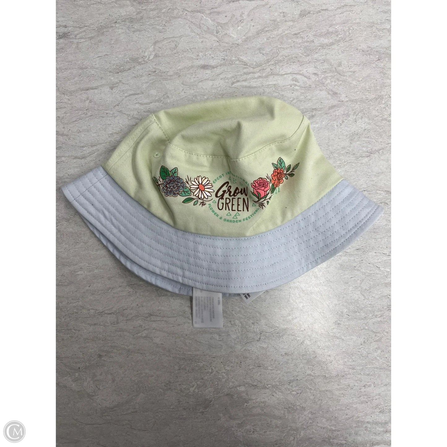 Hat Bucket By Walt Disney