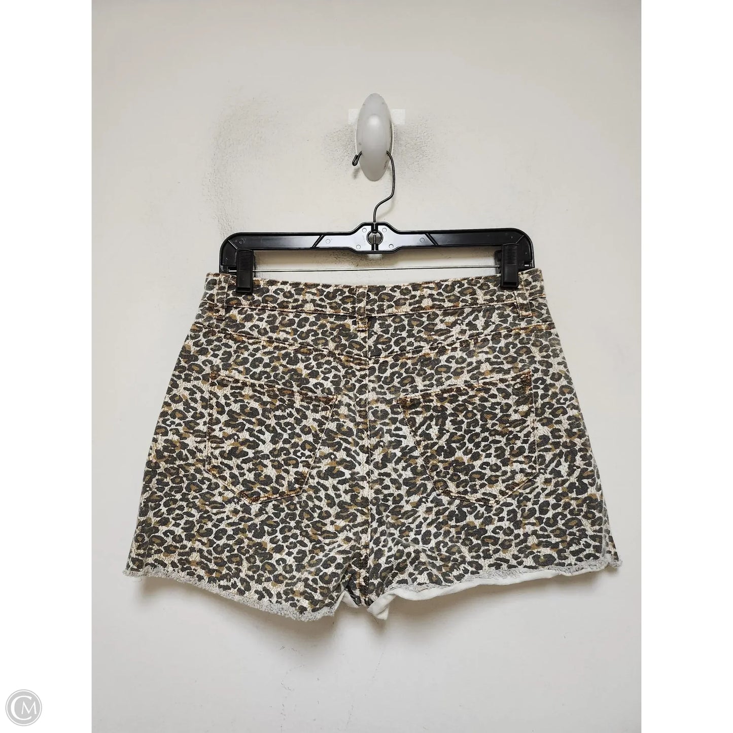 Shorts By Chelsea And Violet In Leopard Print, Size: 6
