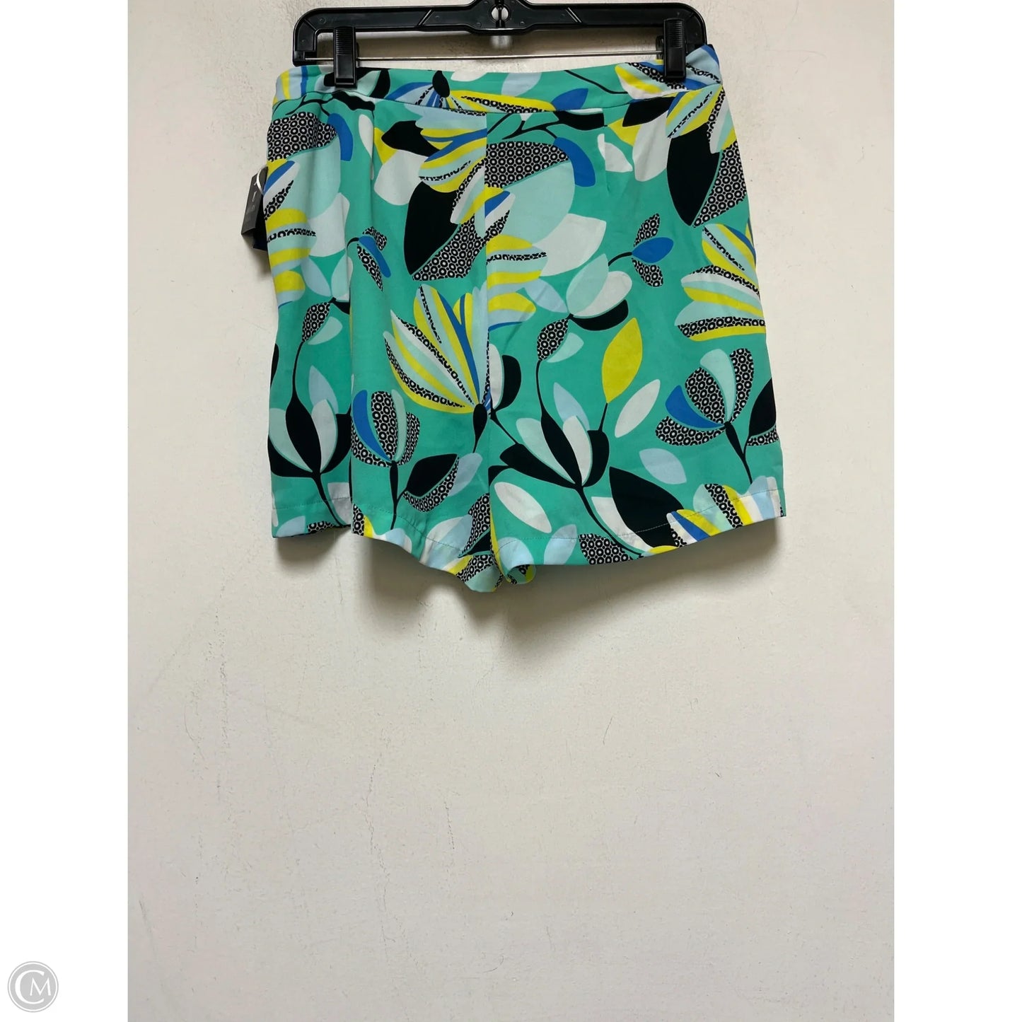 Shorts By Kaari Blue In Teal, Size: 8