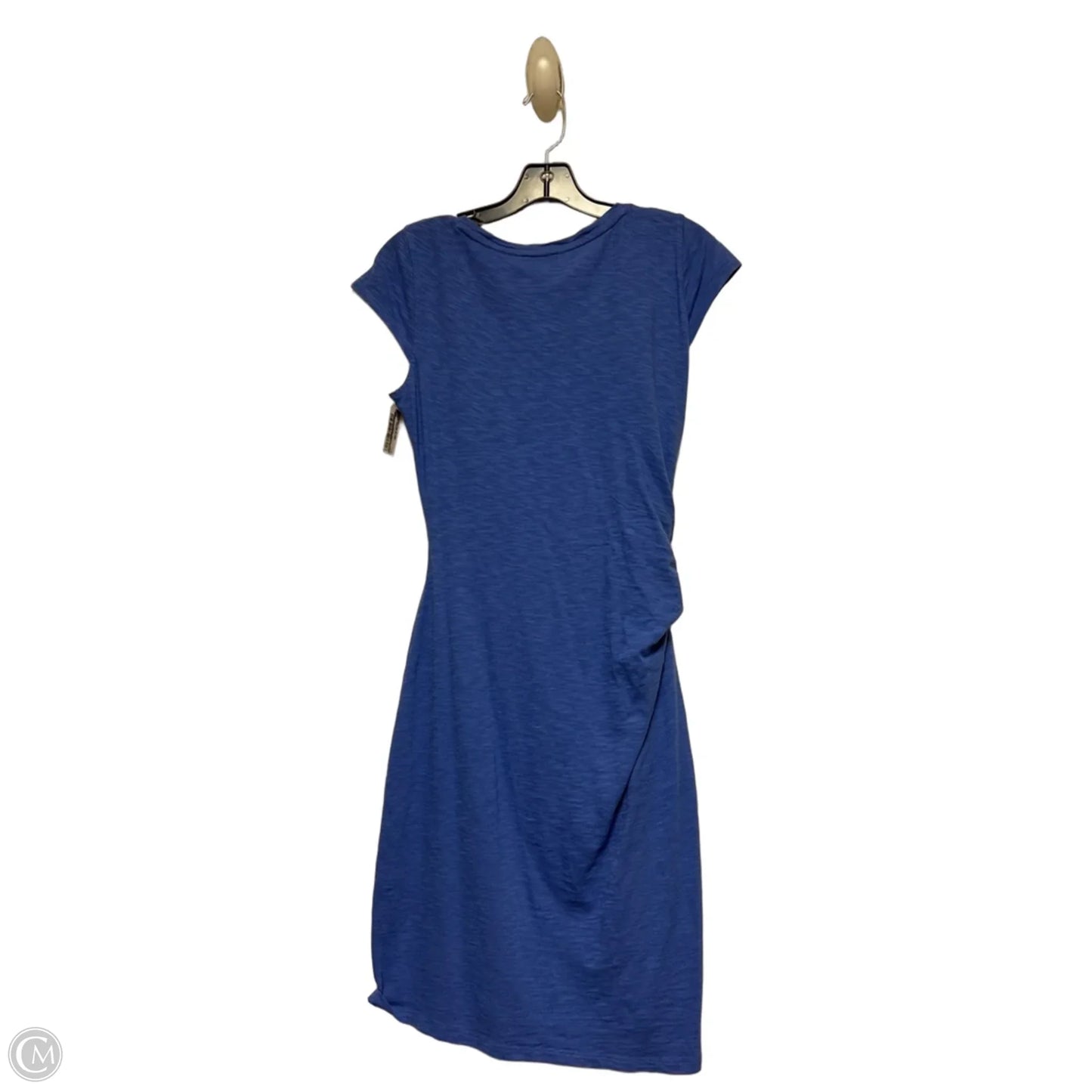 Dress Casual Short By Talbots In Blue, Size: Sp