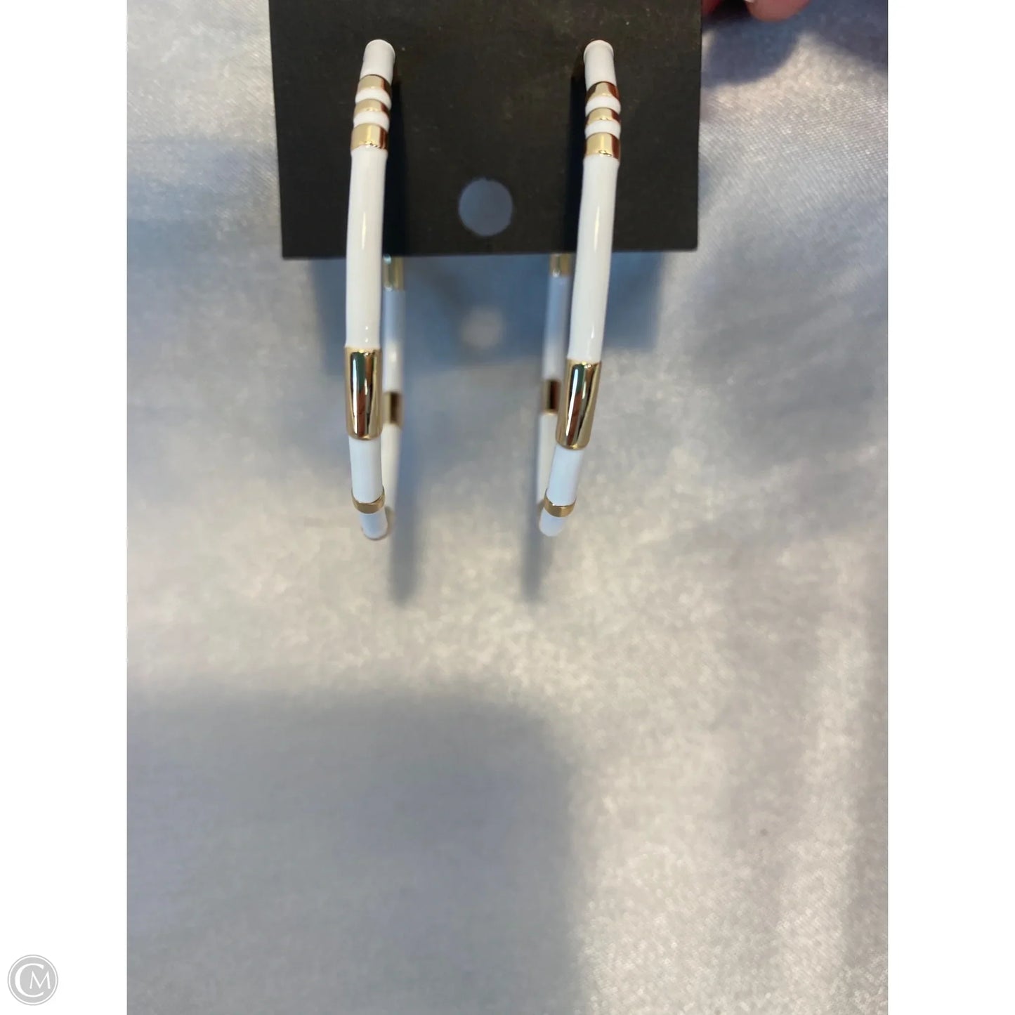 Earrings Hoop By Park Lane