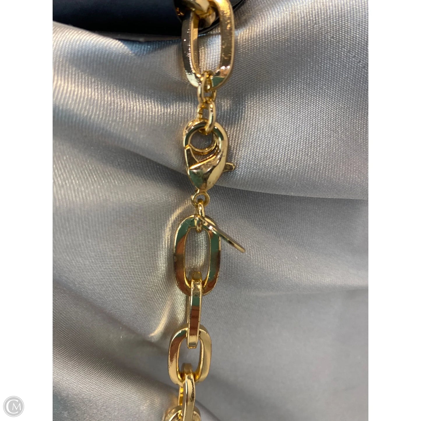 Necklace Chain By Aldo