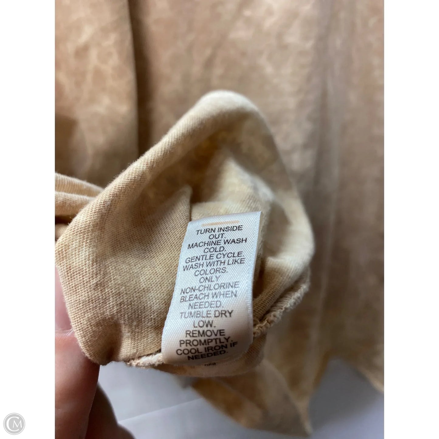 Top Short Sleeve By Cato In Beige, Size: 1x