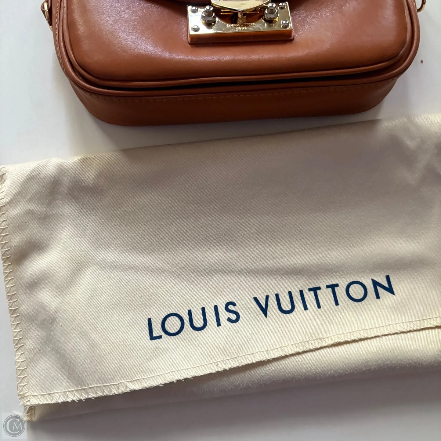 Handbag Luxury Designer By Louis Vuitton, Size: Medium