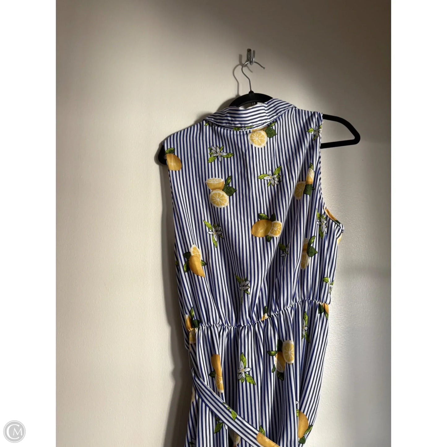 Dress Casual Maxi By Mlle Gabrielle In Striped Pattern, Size: 2x