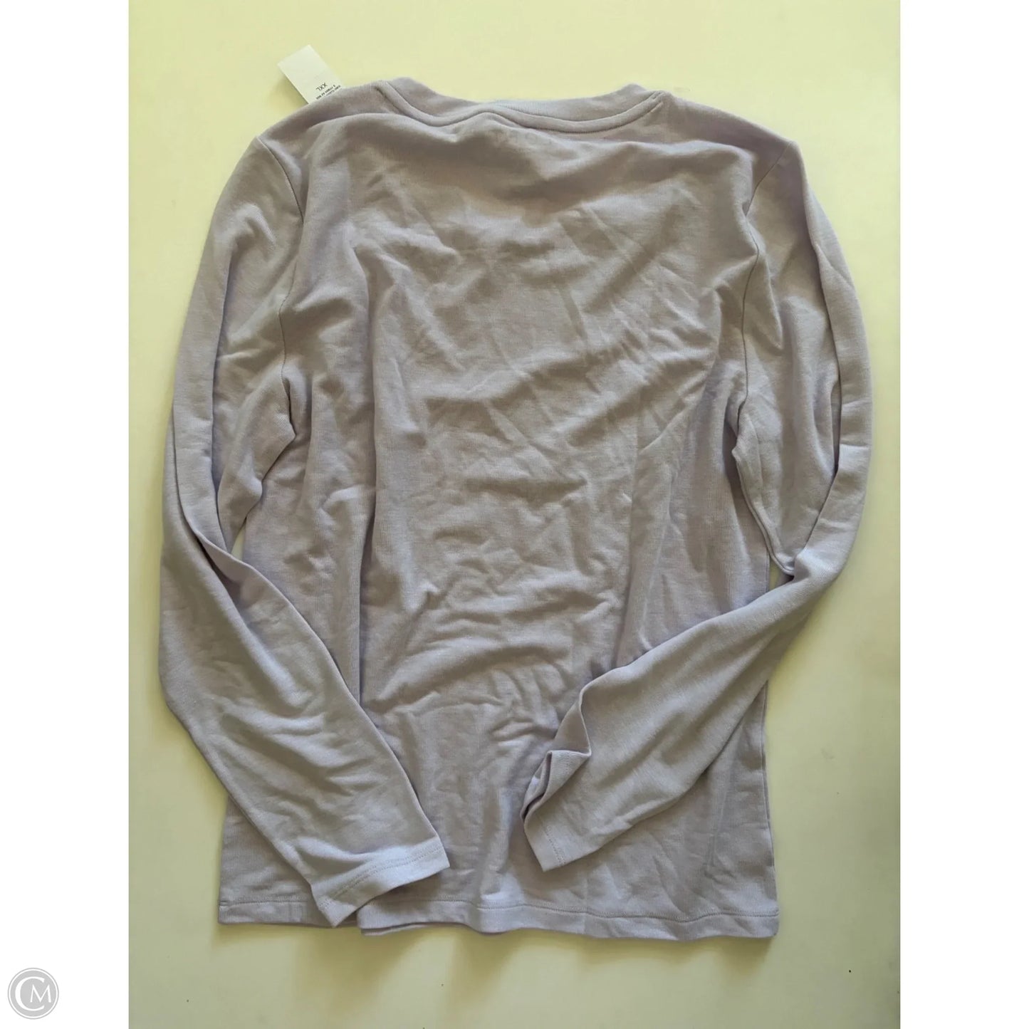 Top Long Sleeve By Loft In Purple, Size: 2x