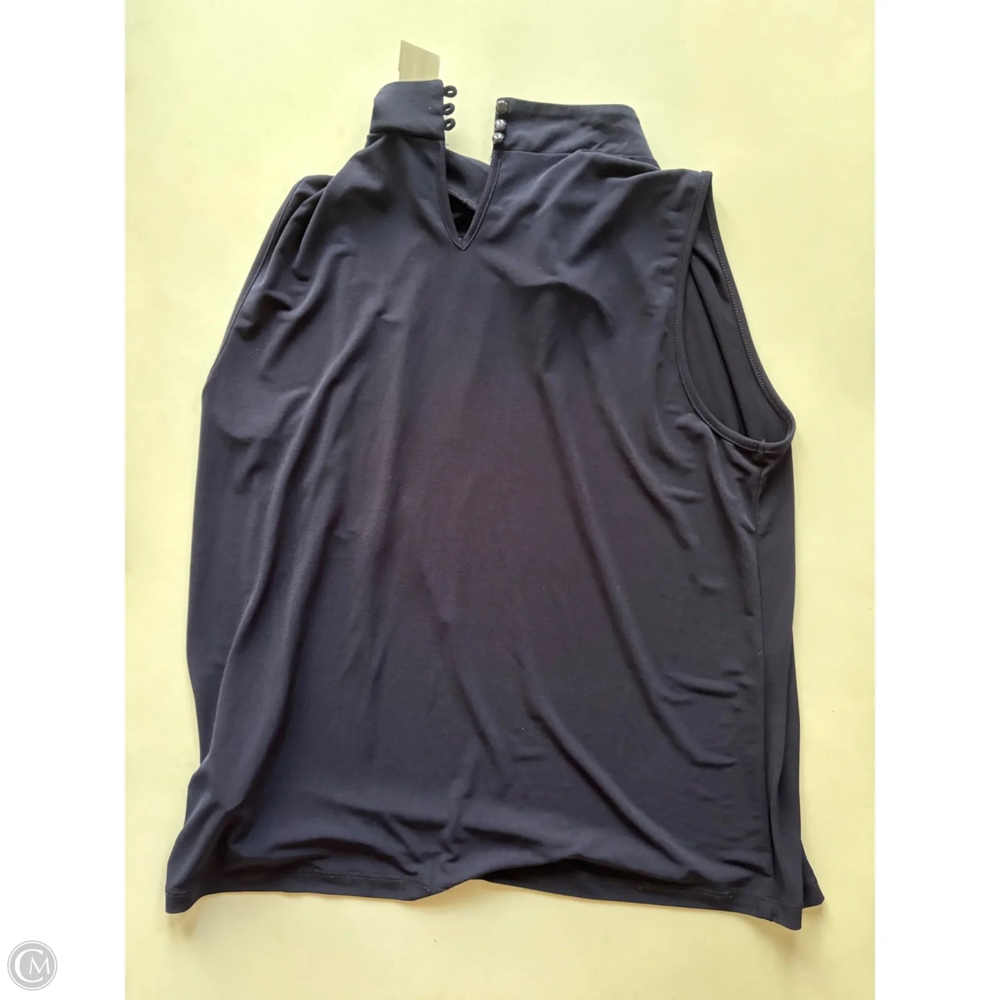 Blouse Sleeveless By Anne Klein In Blue, Size: Xlp