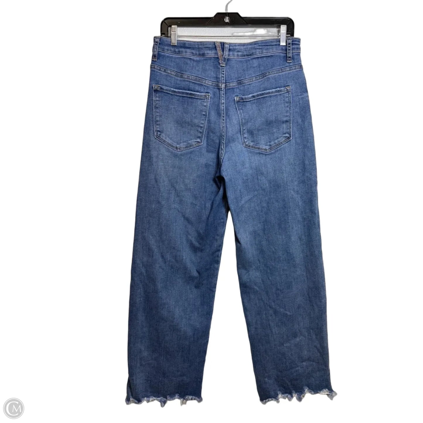 Jeans Wide Leg By Vervet In Blue, Size: 10