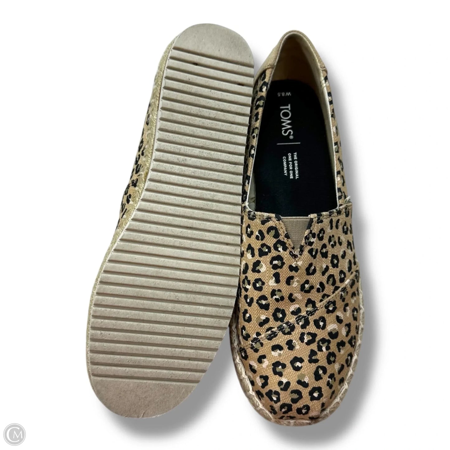 Shoes Flats By Toms In Animal Print, Size: 8.5