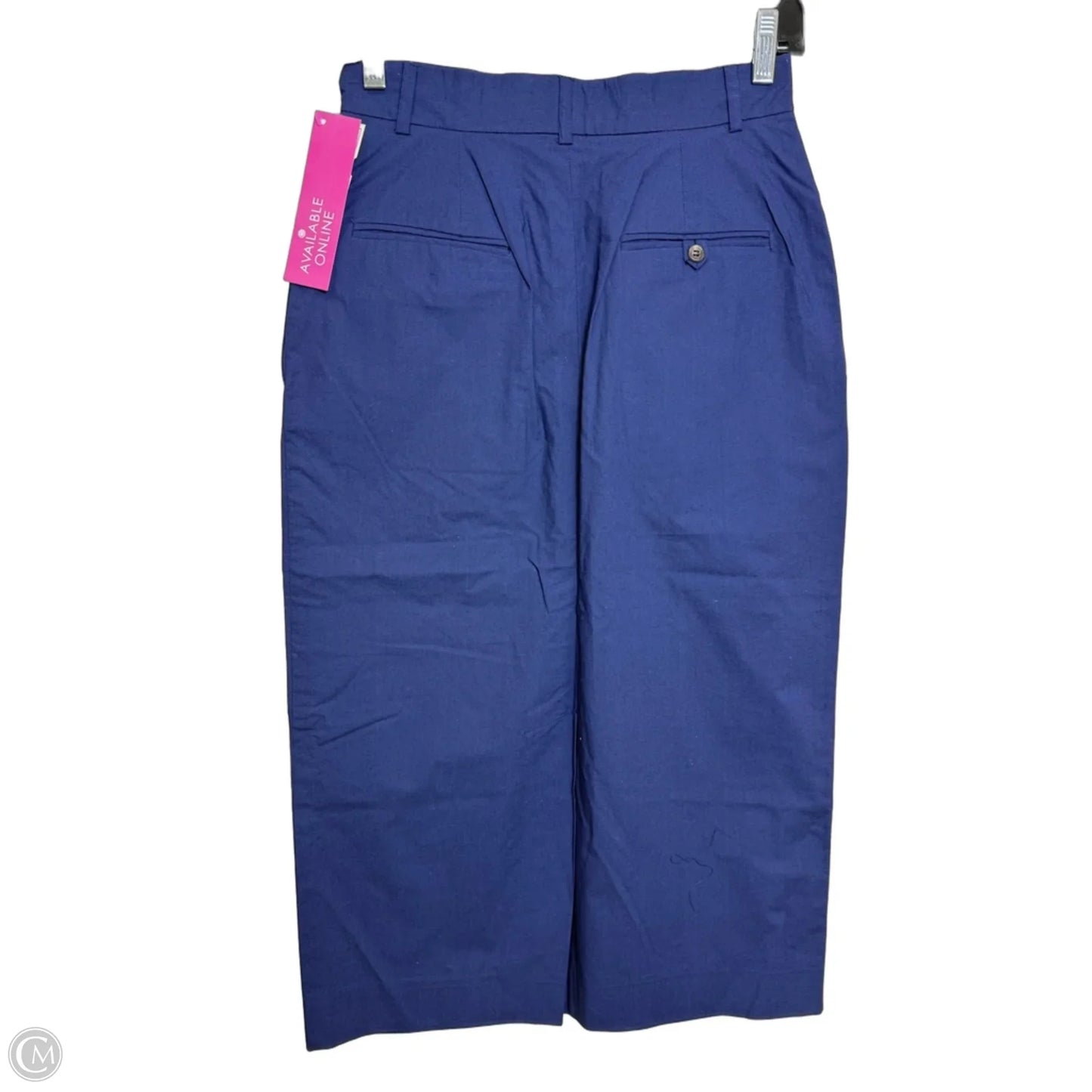 Skirt Midi By Ralph Lauren In Navy, Size: 6