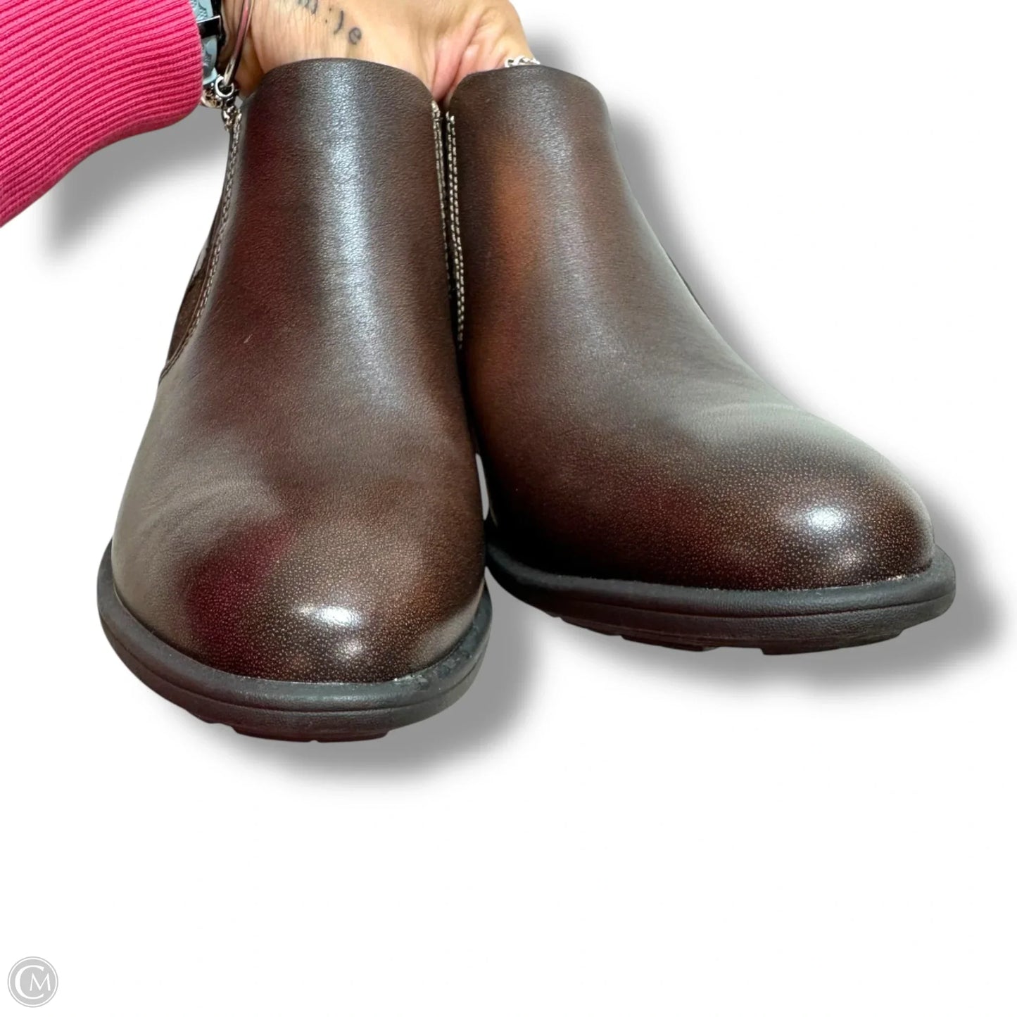 Shoes Athletic By Earth Origins In Brown, Size: 10