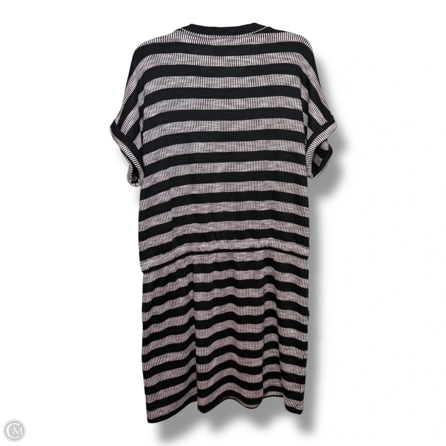 Dress Casual Short By Loft In Striped Pattern, Size: Xl