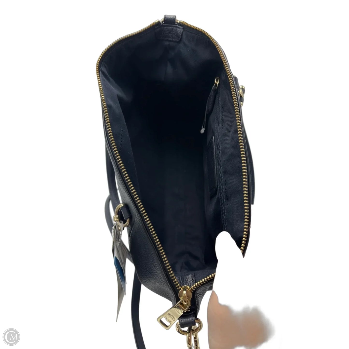 Handbag Designer By Coach