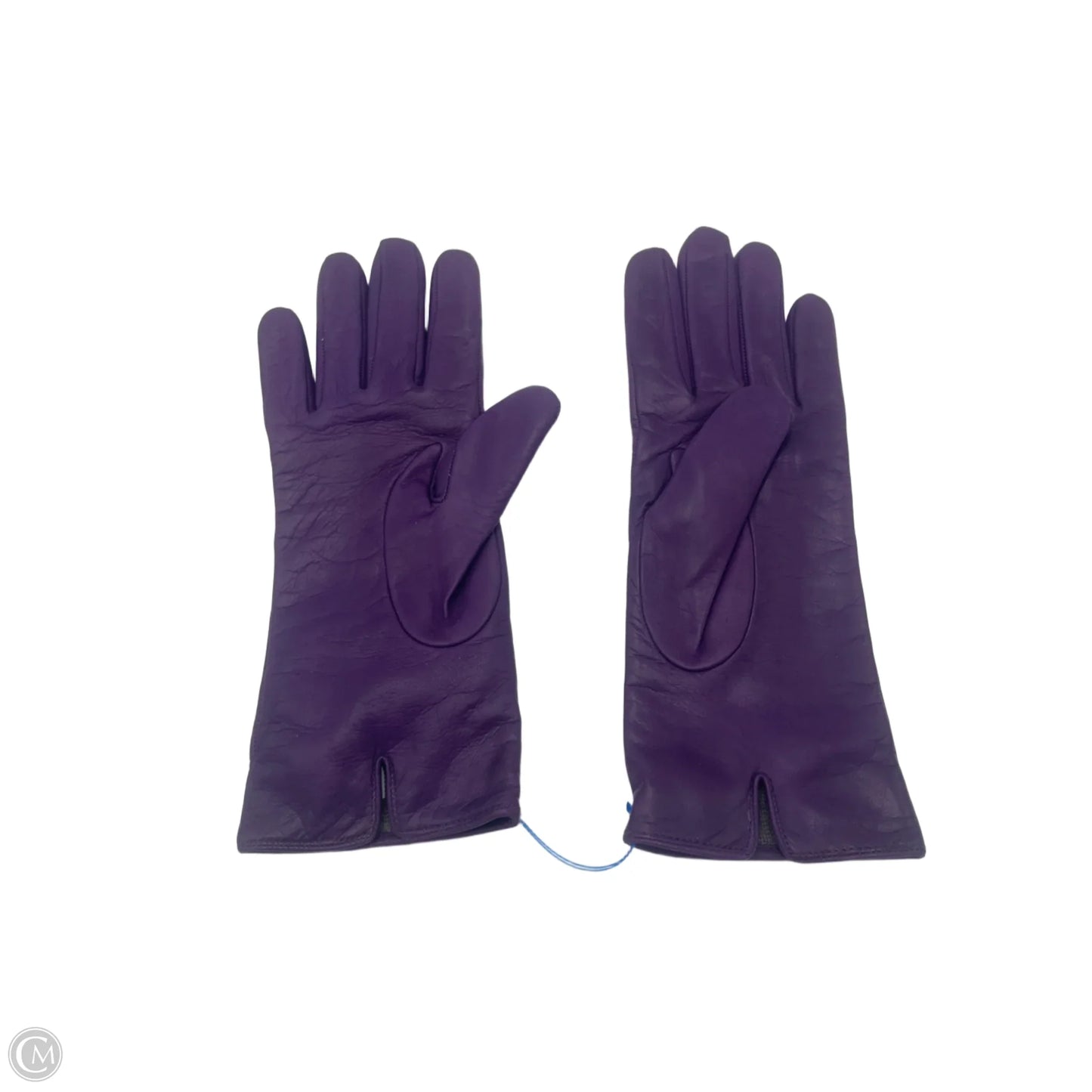 Leather Gloves Designer By Coach