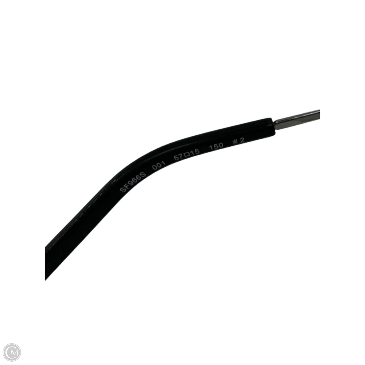 Sunglasses By Salvatore Ferragamo